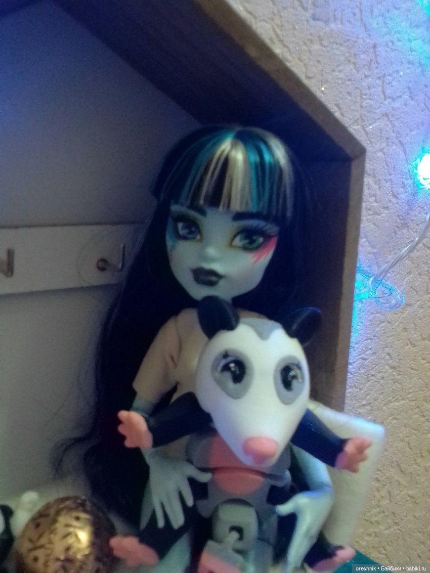 Опоссум. Из жизни опоссумов❤️ (фото 9)