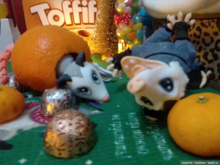 Опоссум. Из жизни опоссумов❤️