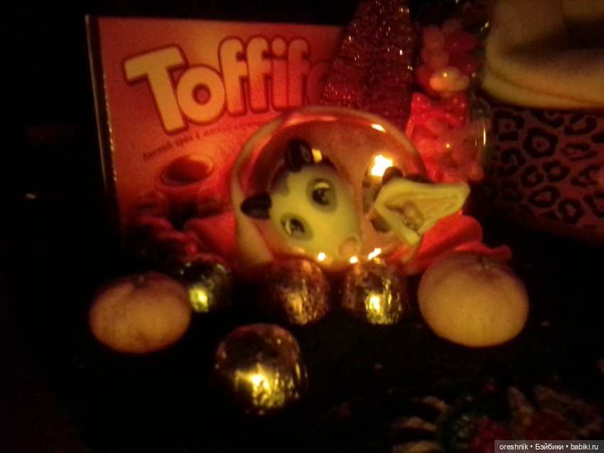 Опоссум. Из жизни опоссумов❤️