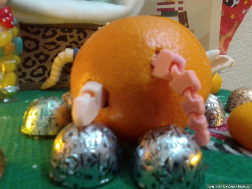 Опоссум. Из жизни опоссумов❤️