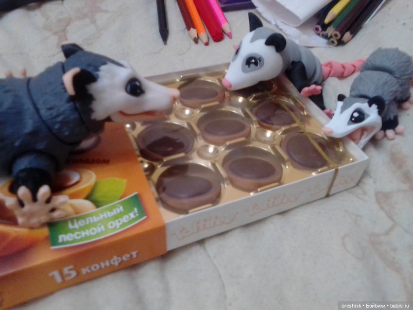 Опоссум. Из жизни опоссумов❤️