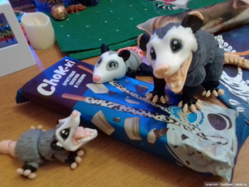 Опоссум. Из жизни опоссумов❤️