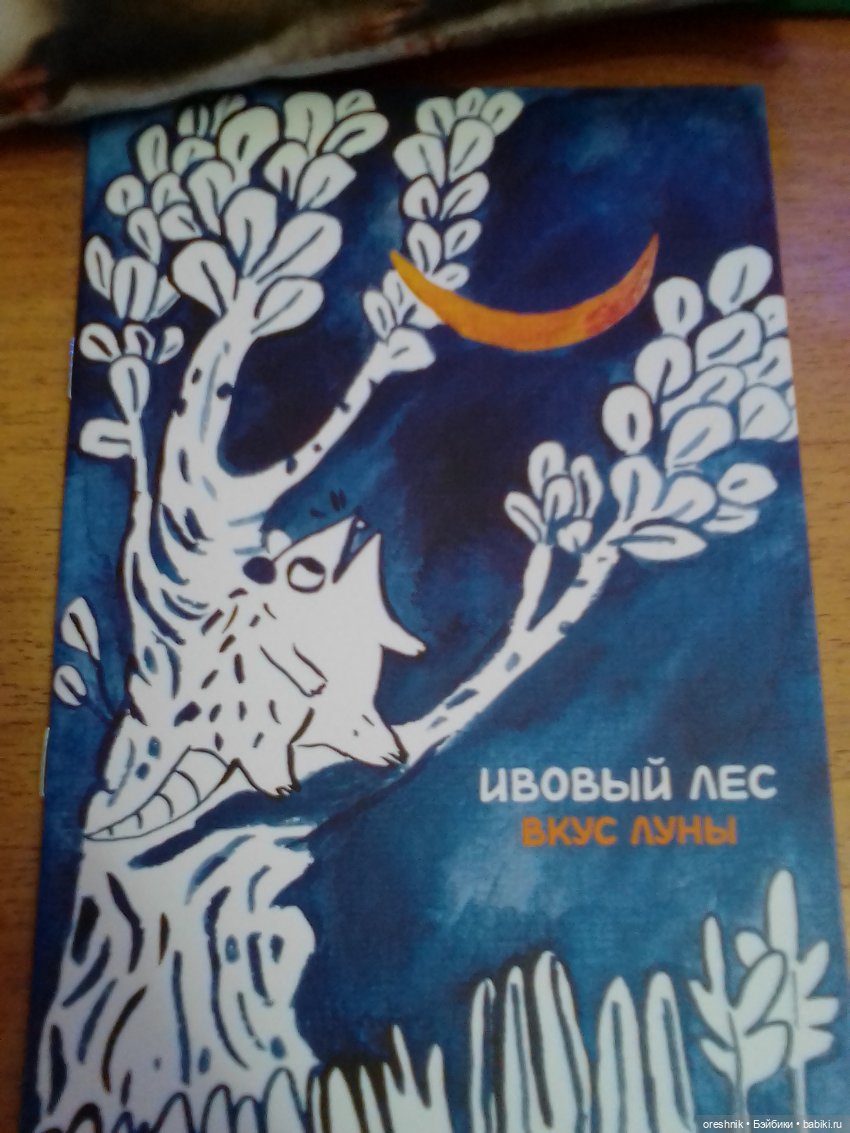 Опоссум. Из жизни опоссумов❤️