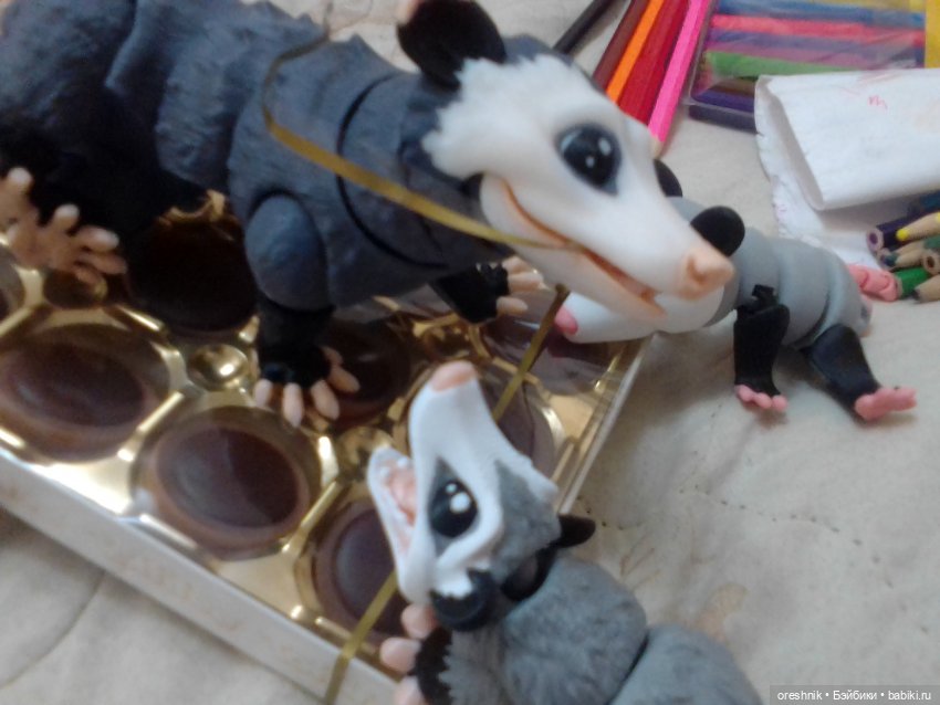 Опоссум. Из жизни опоссумов❤️