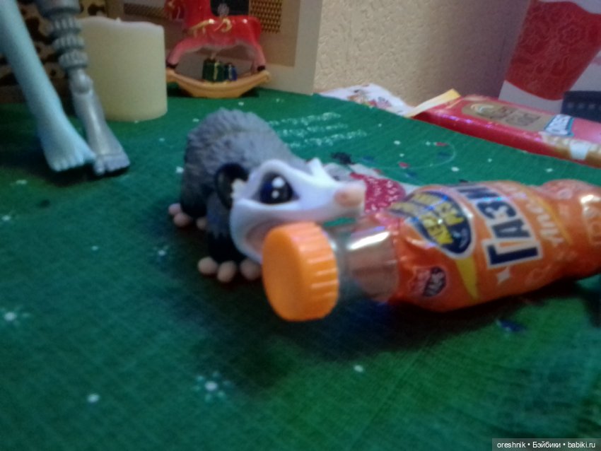 Опоссум. Из жизни опоссумов❤️