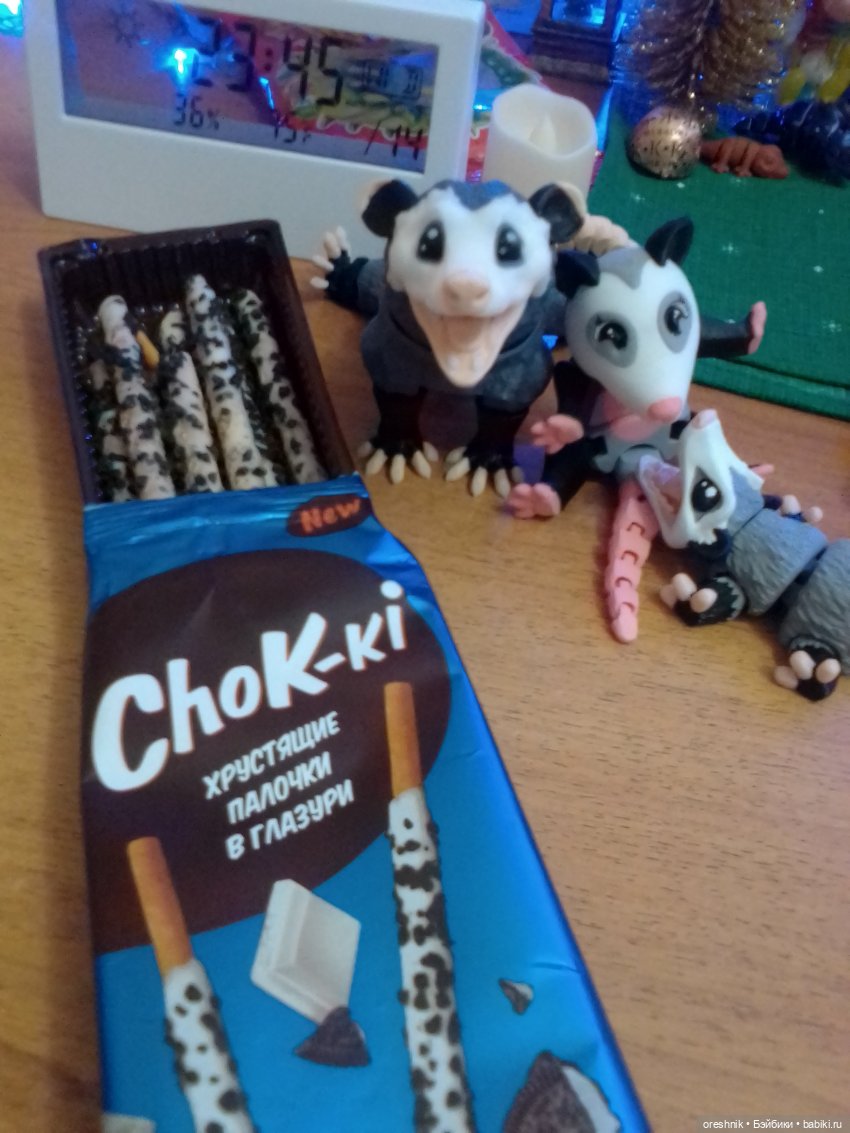 Опоссум. Из жизни опоссумов❤️