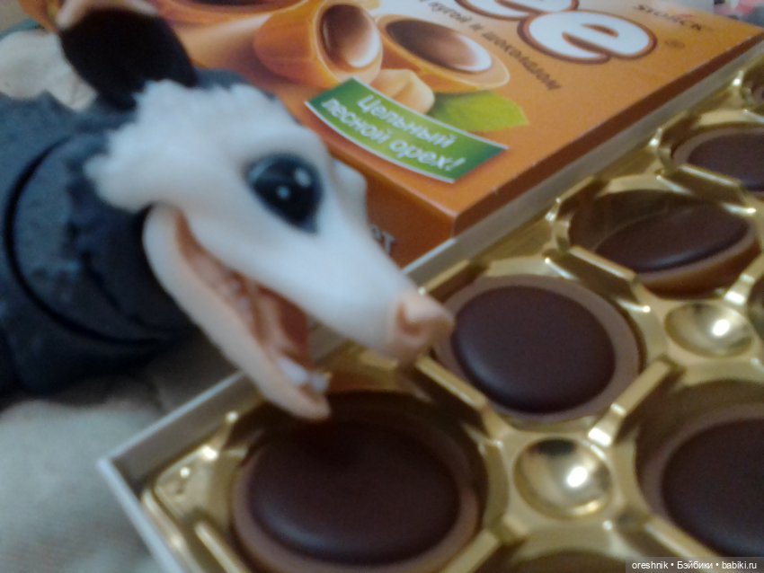 Опоссум. Из жизни опоссумов❤️