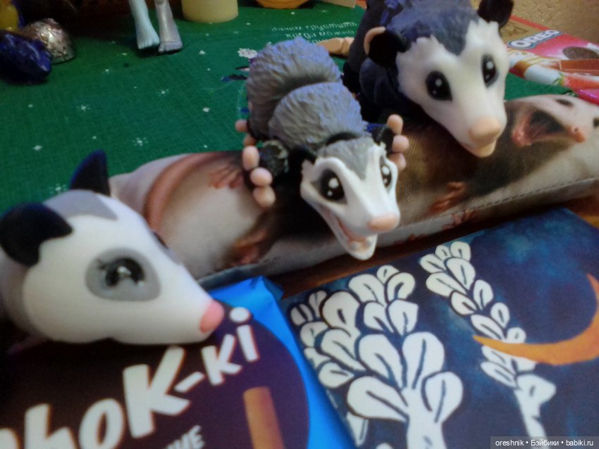 Опоссум. Из жизни опоссумов❤️