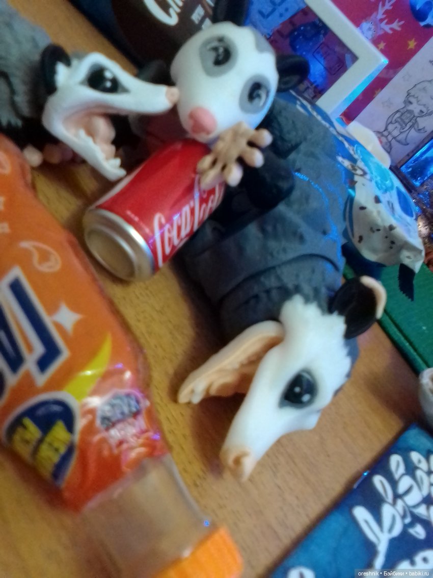 Опоссум. Из жизни опоссумов❤️