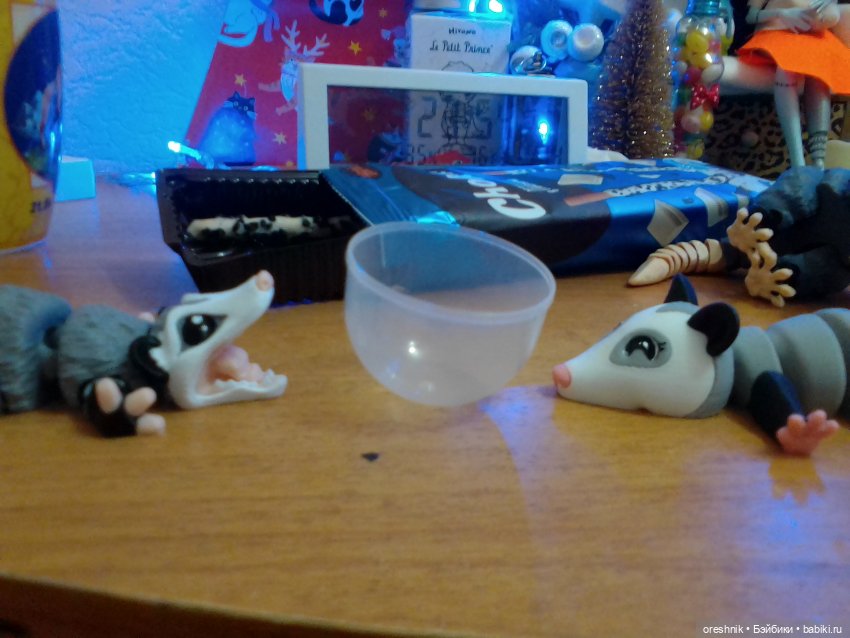 Опоссум. Из жизни опоссумов❤️