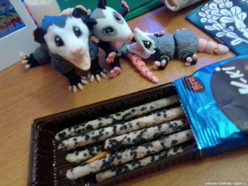 Опоссум. Из жизни опоссумов❤️