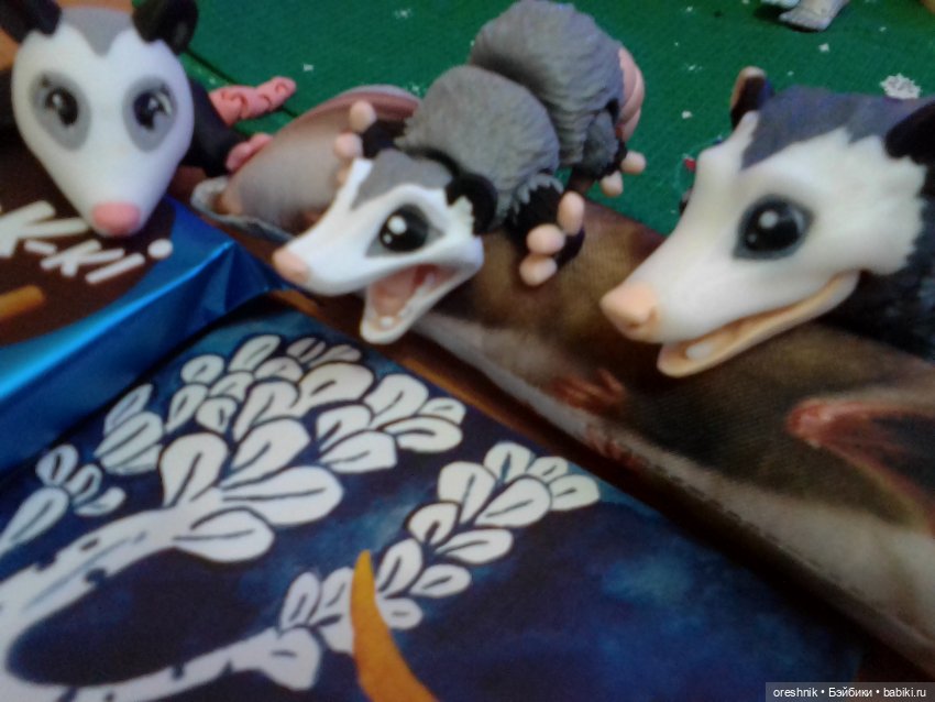 Опоссум. Из жизни опоссумов❤️