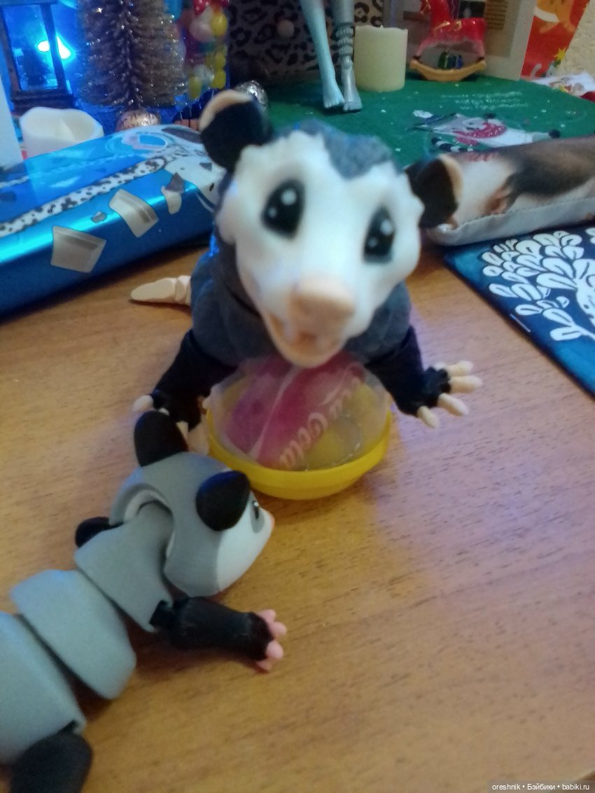 Опоссум. Из жизни опоссумов❤️