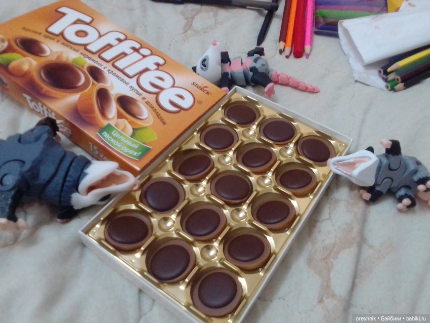 Опоссум. Из жизни опоссумов❤️