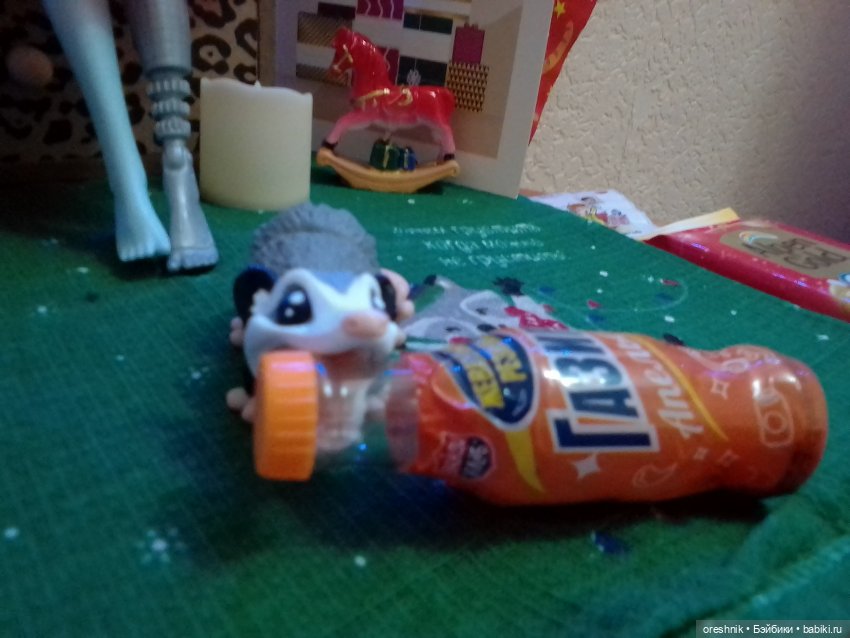 Опоссум. Из жизни опоссумов❤️