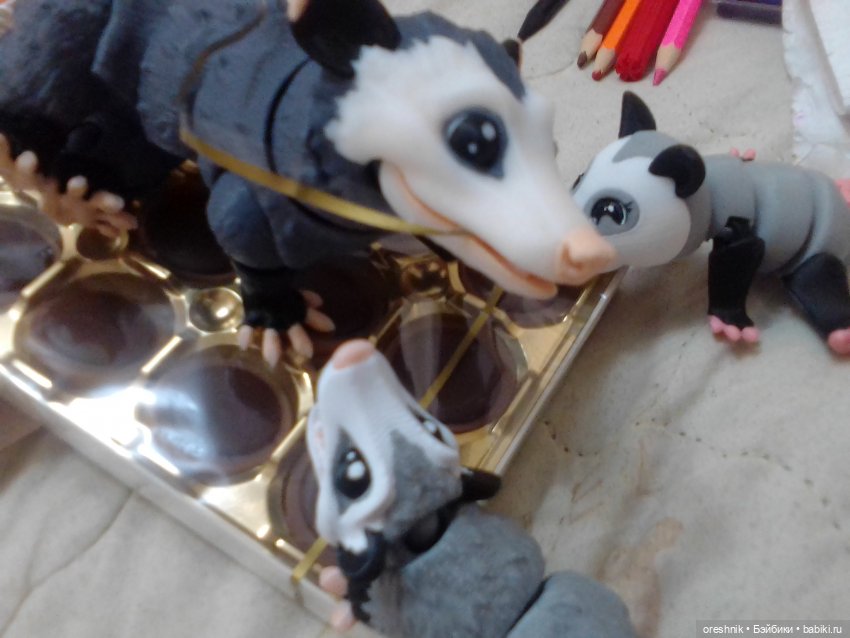 Опоссум. Из жизни опоссумов❤️