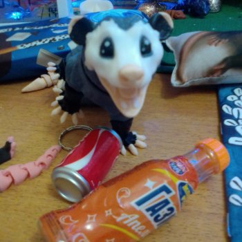 Опоссум. Из жизни опоссумов❤️