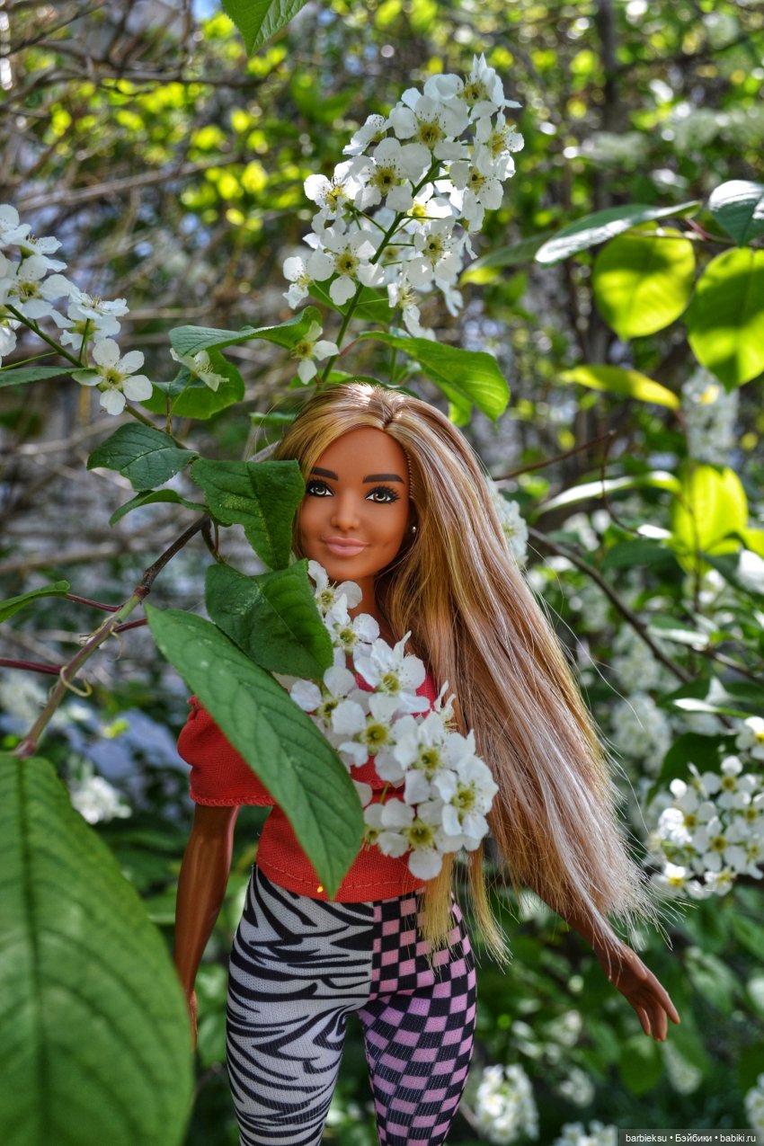 Черёмуха цветёт🌼🌼🌼 - Куклы Барби - Barbie: коллекционные и игровые |  Бэйбики - 317482