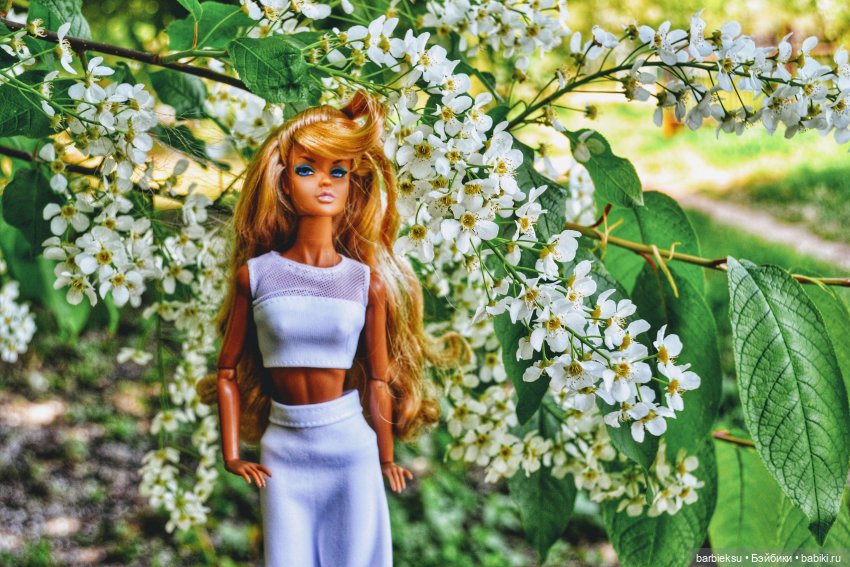 Ария Dynamite girls Chill Factor 💓