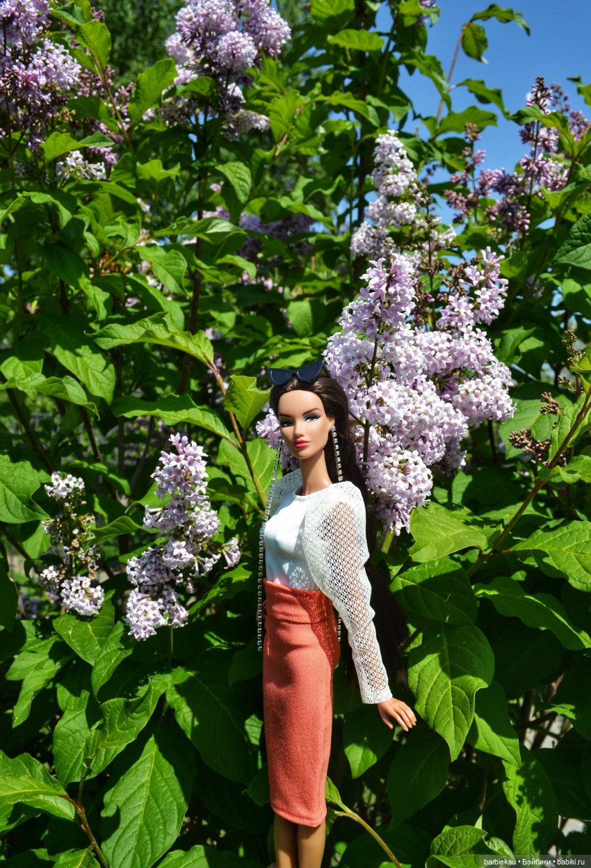 Элегантная Джейми Костас 💃 (фото 7)