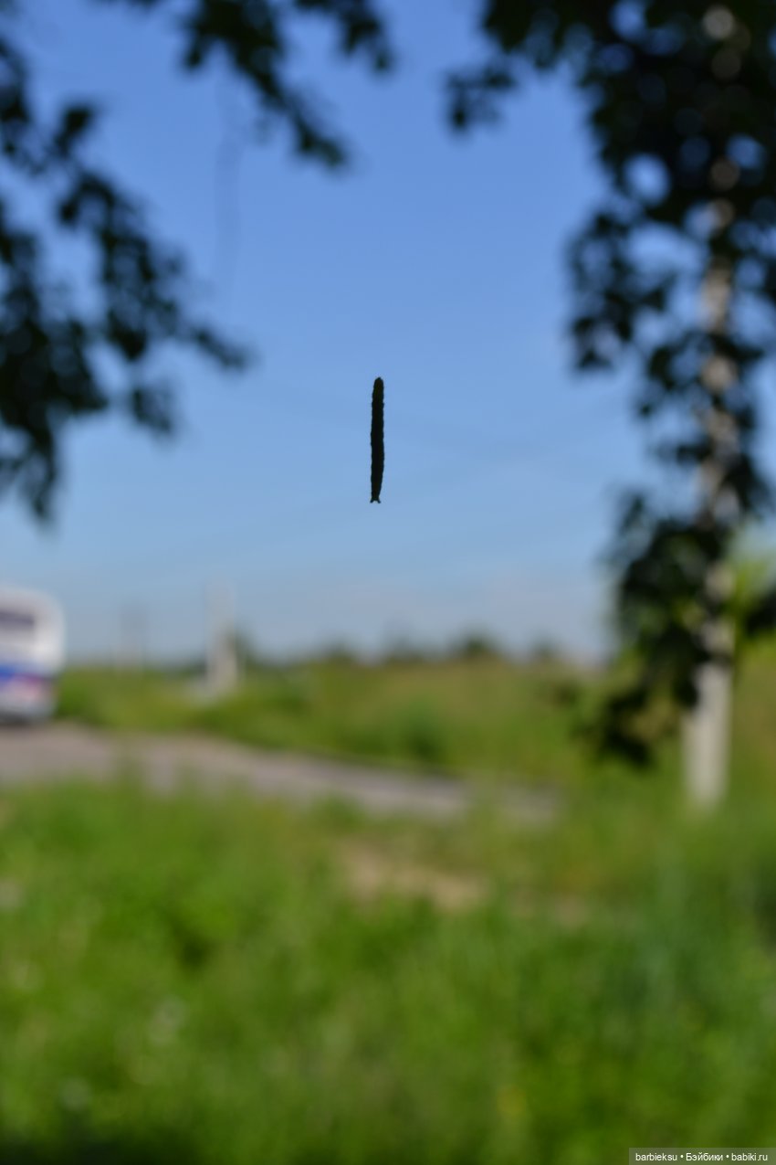 Лара Крофт ⚔️ | Бэйбики Лара Крофт ⚔️ — Фэшн