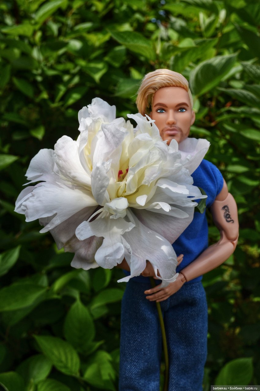 Ах, Пионы, вы пионы , Вы моей любви шпионы🎶🎶🎶