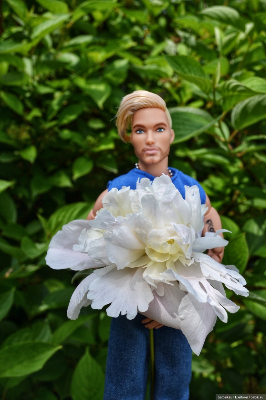 Ах, Пионы, вы пионы , Вы моей любви шпионы🎶🎶🎶