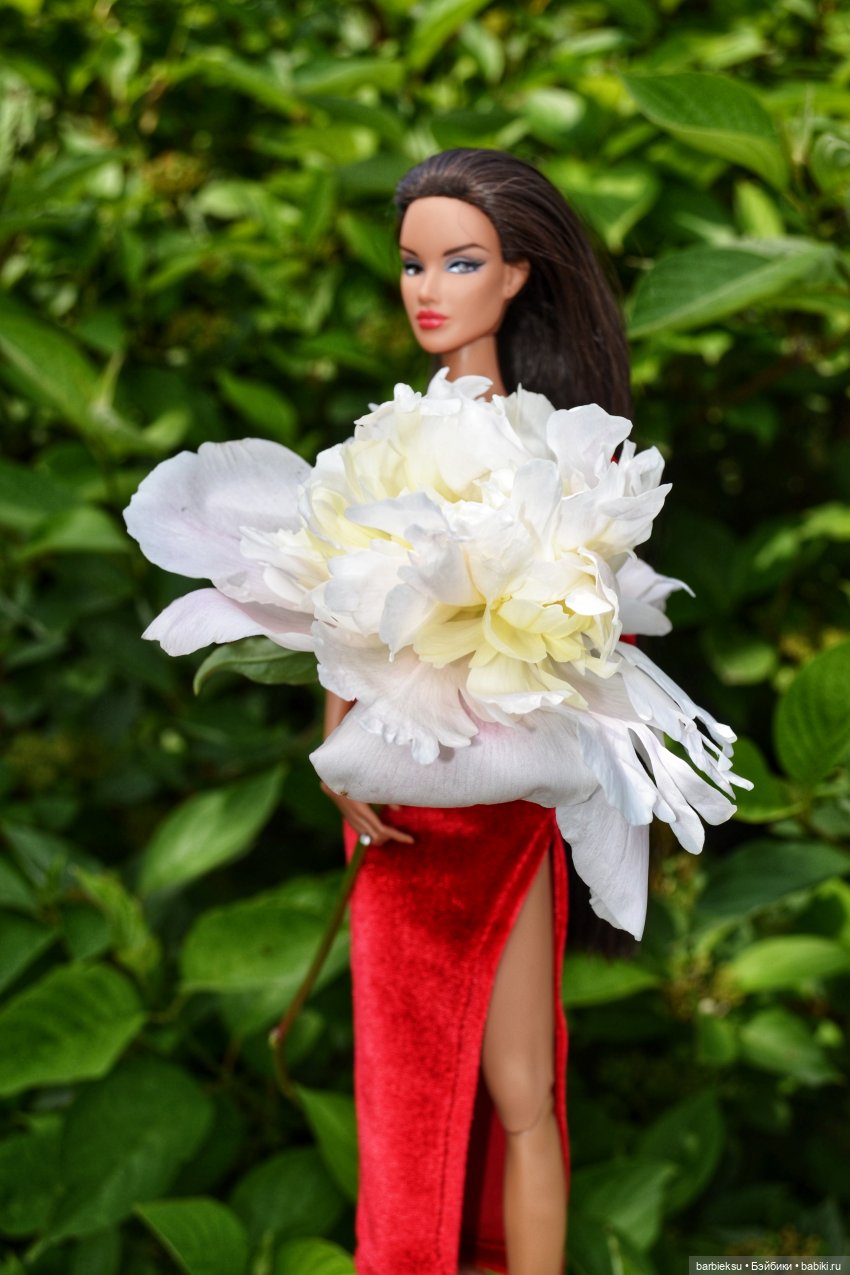 Ах, Пионы, вы пионы , Вы моей любви шпионы🎶🎶🎶