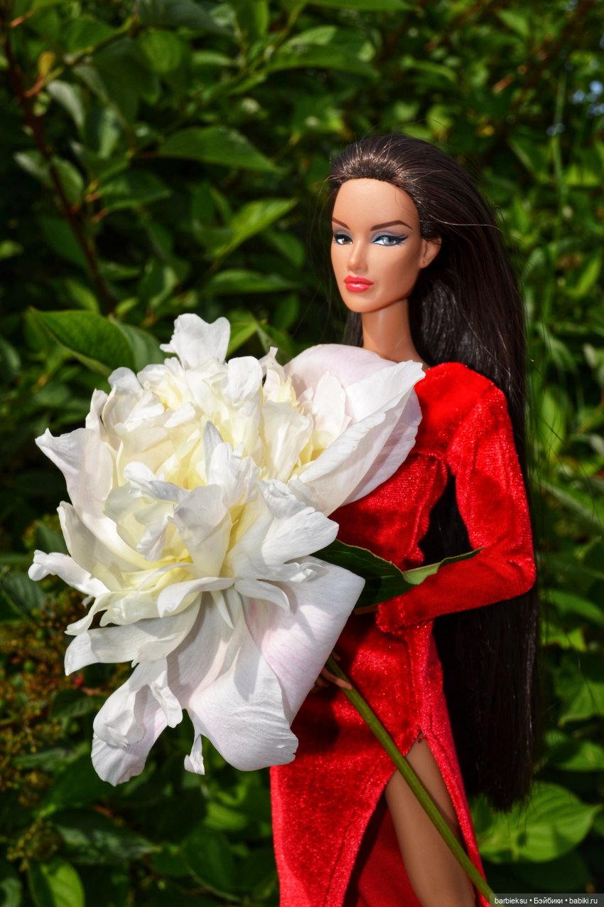 Ах, Пионы, вы пионы , Вы моей любви шпионы🎶🎶🎶