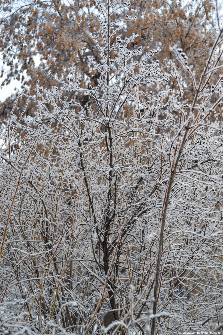 Прелесть какая — снег на ресницах❄️❄️❄️
