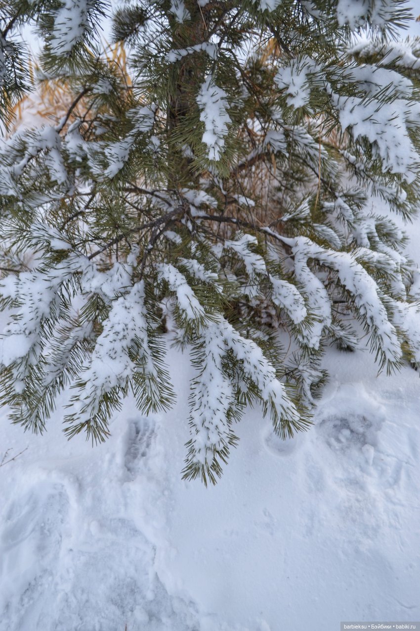 День Всех Влюбленных💖 — Куклы Integrity Toys (Интегрити): Poppy Parker