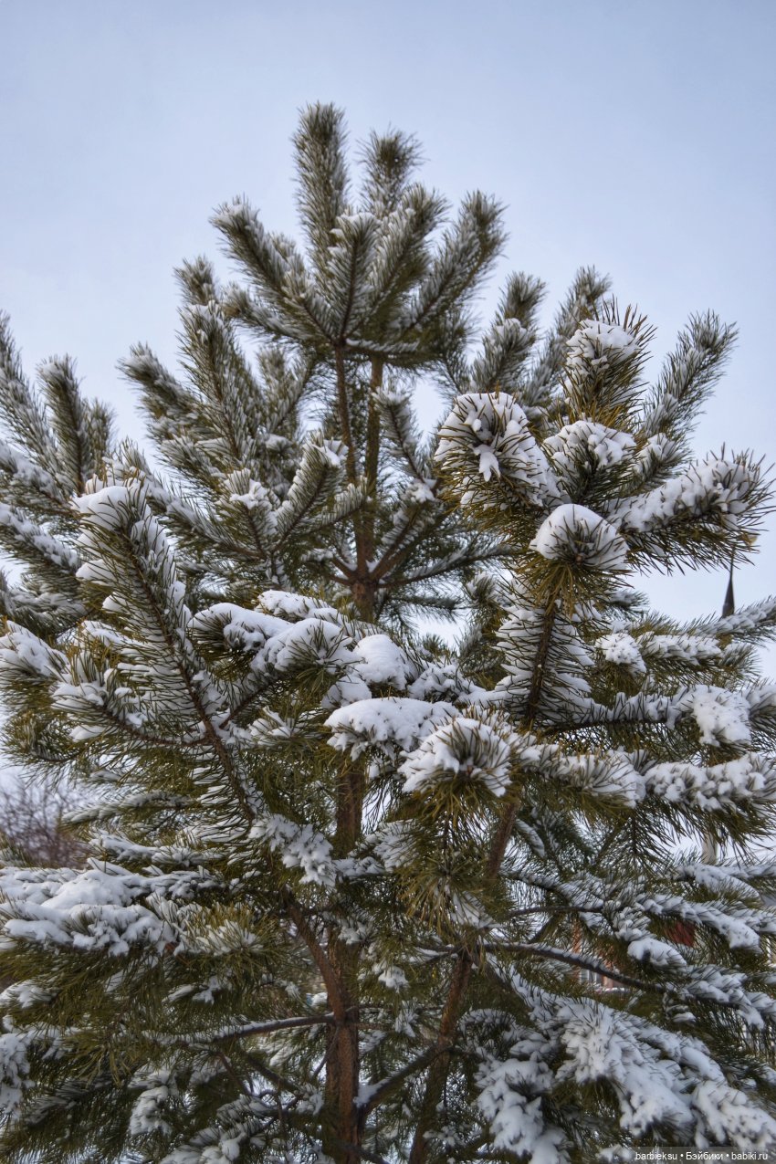 День Всех Влюбленных💖 — Куклы Integrity Toys (Интегрити): Poppy Parker