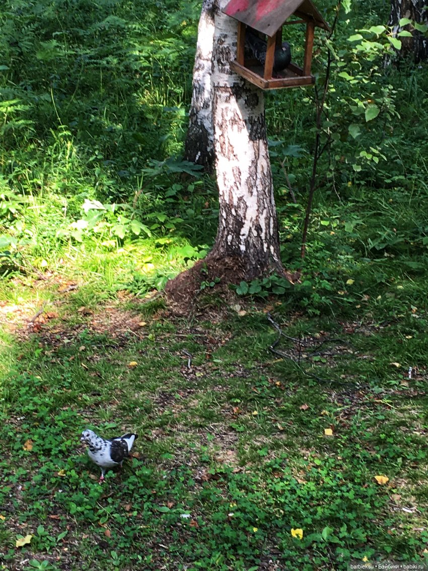 В поисках приключений❣️ — Куклы Integrity Toys (Интегрити): Poppy Parker