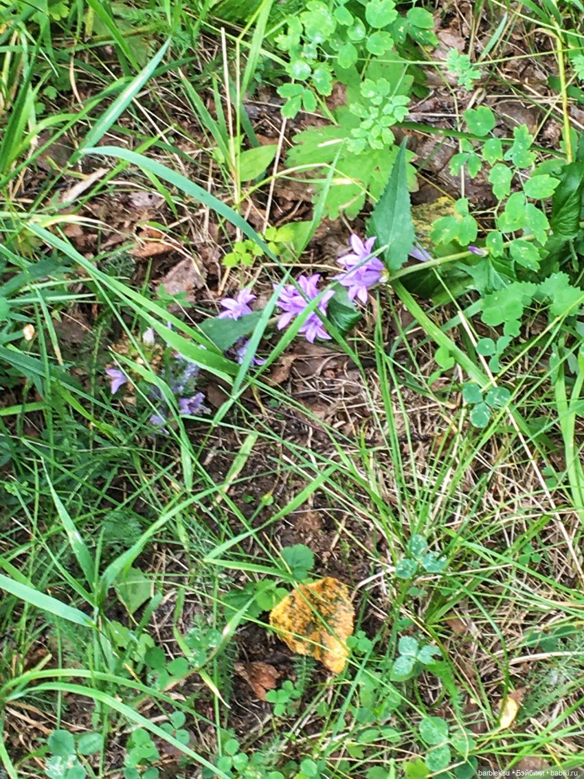 В поисках приключений❣️ — Куклы Integrity Toys (Интегрити): Poppy Parker