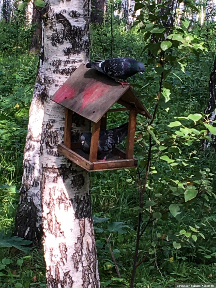 В поисках приключений❣️ — Куклы Integrity Toys (Интегрити): Poppy Parker