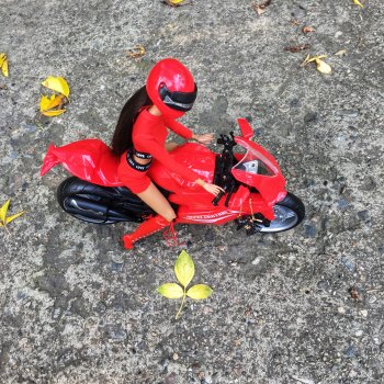 В поисках приключений❣️