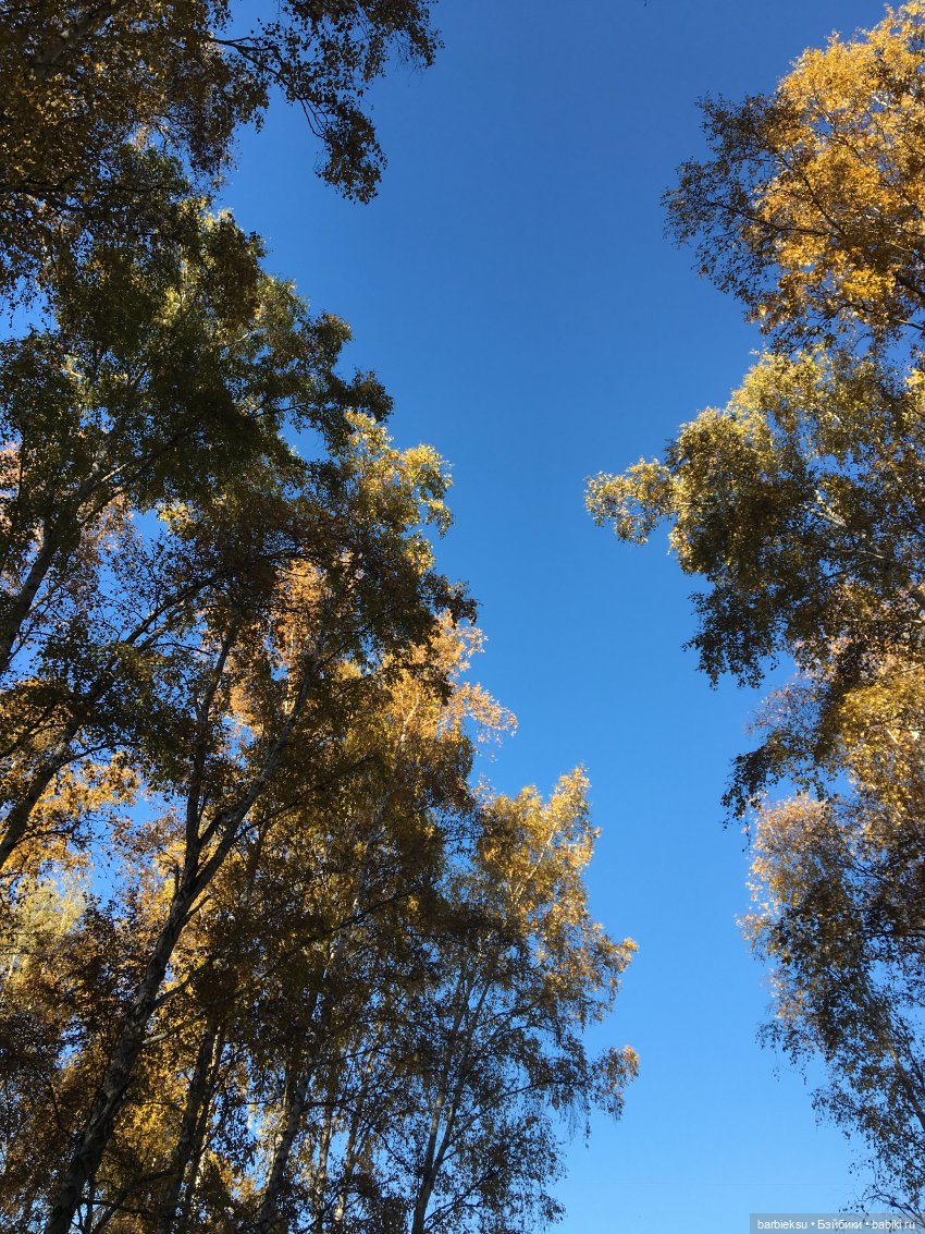 Alysa Back to Collection 2012 Tropicalia Convention