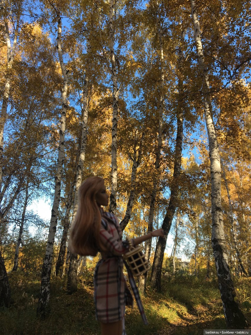 Alysa Back to Collection 2012 Tropicalia Convention