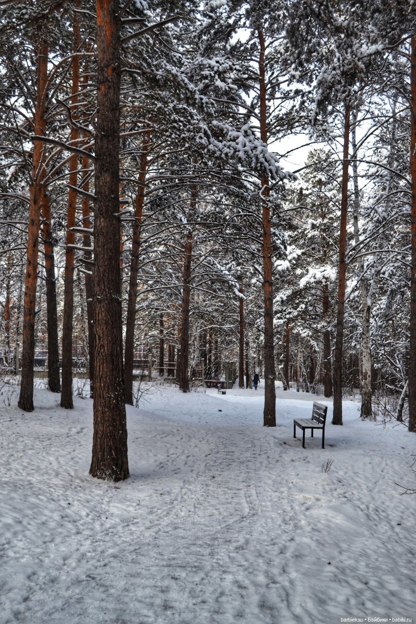 Снег, ёлка, подарки 🎁 — Куклы Integrity Toys (Интегрити): Poppy Parker (фото 4)