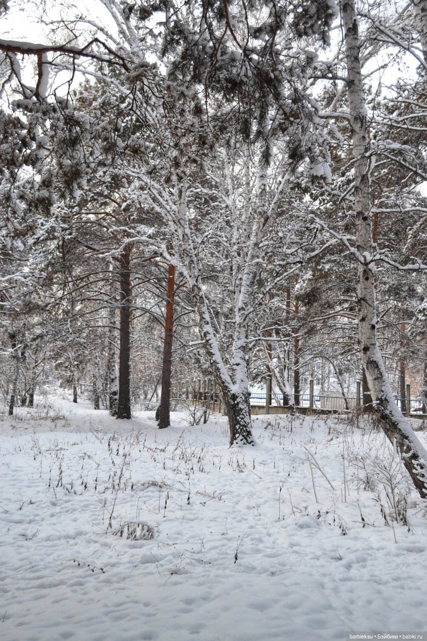 Снег, ёлка, подарки 🎁 — Куклы Integrity Toys (Интегрити): Poppy Parker (фото 6)