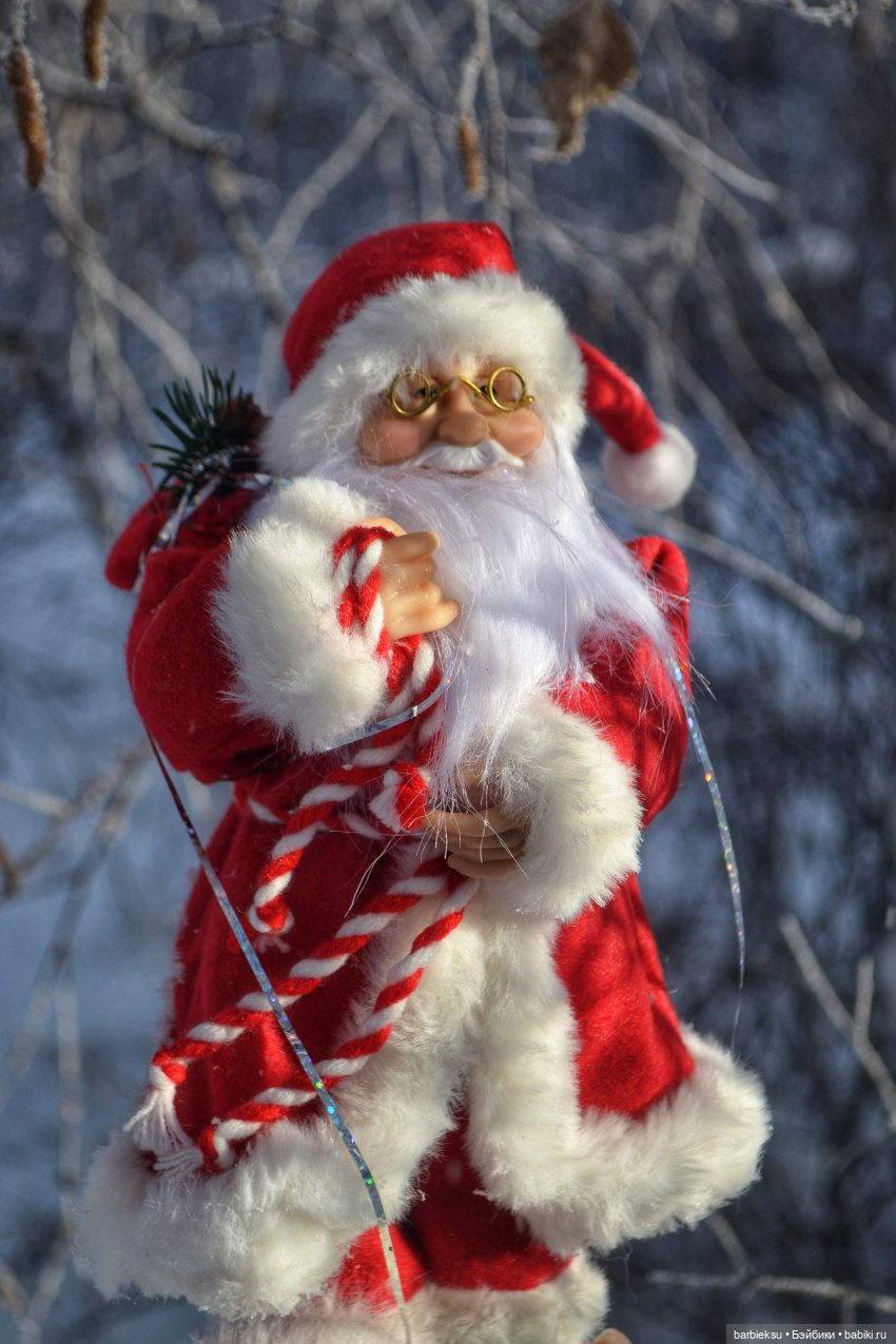 Зимний лес и его обитатели!❄️