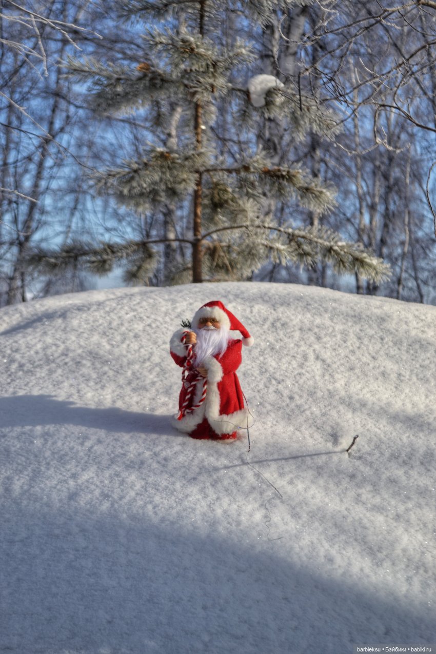 Зимний лес и его обитатели!❄️