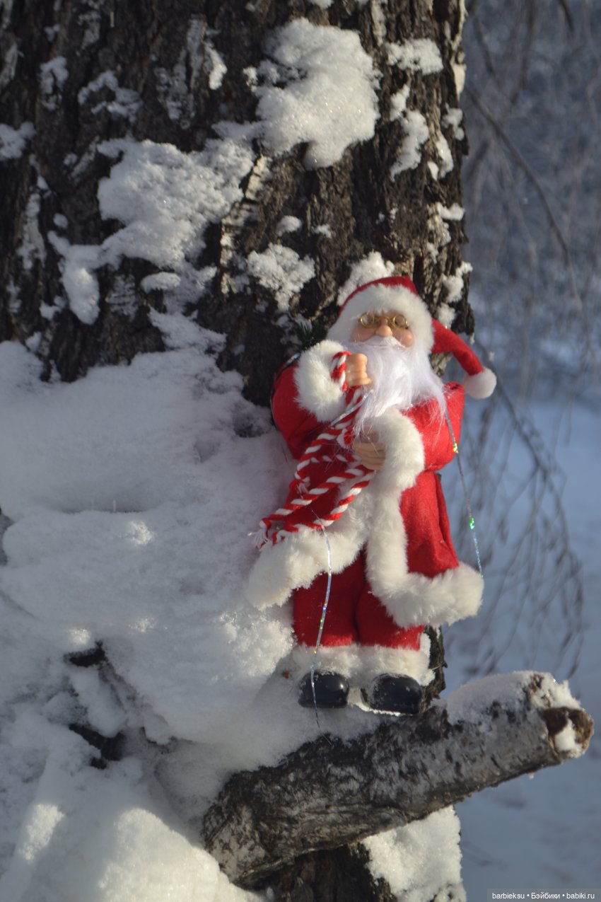 Зимний лес и его обитатели!❄️