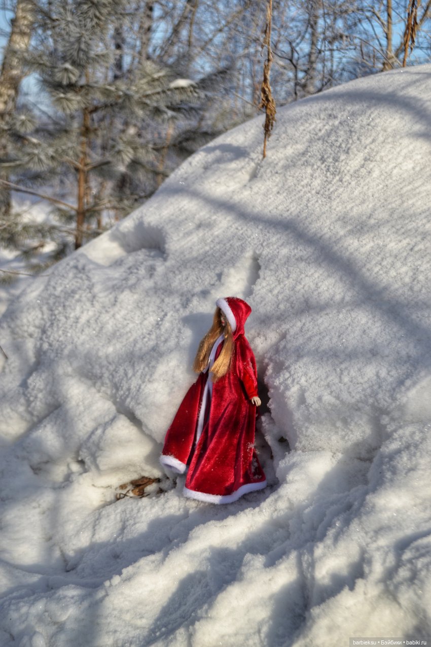 Зимний лес и его обитатели!❄️