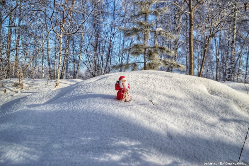 Зимний лес и его обитатели!❄️ (фото 7)