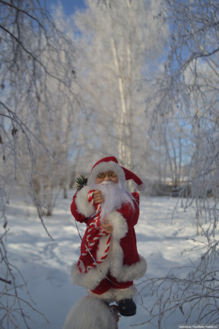 Зимний лес и его обитатели!❄️