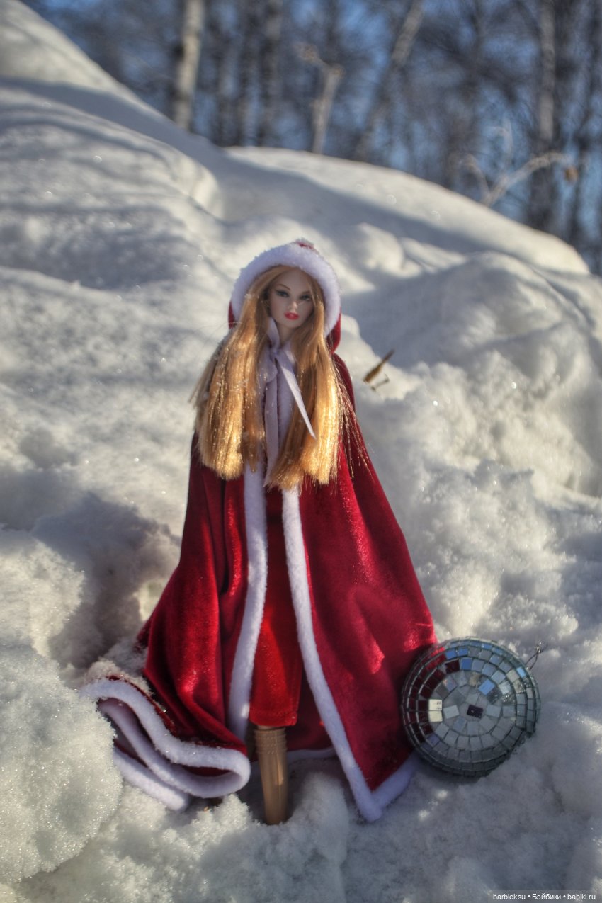 Зимний лес и его обитатели!❄️