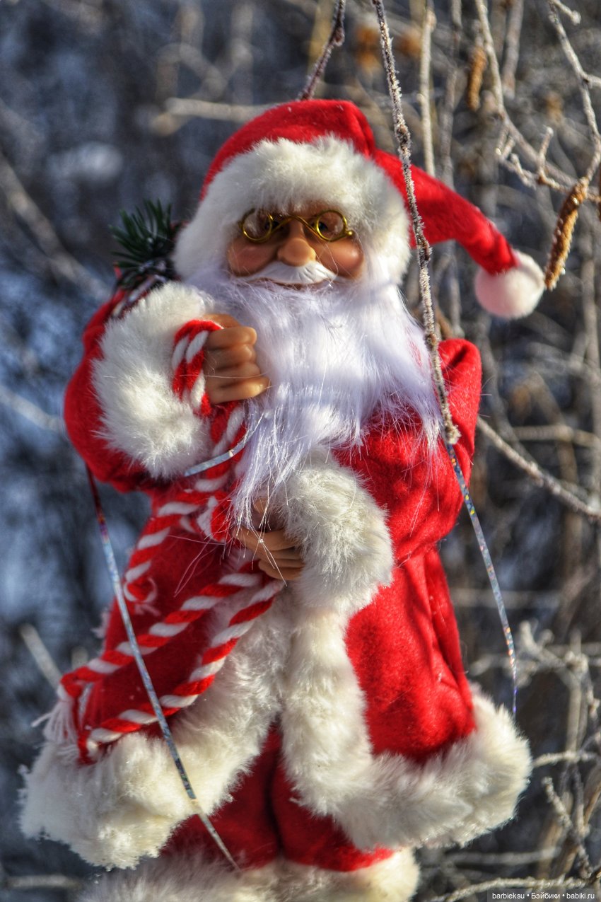 Зимний лес и его обитатели!❄️