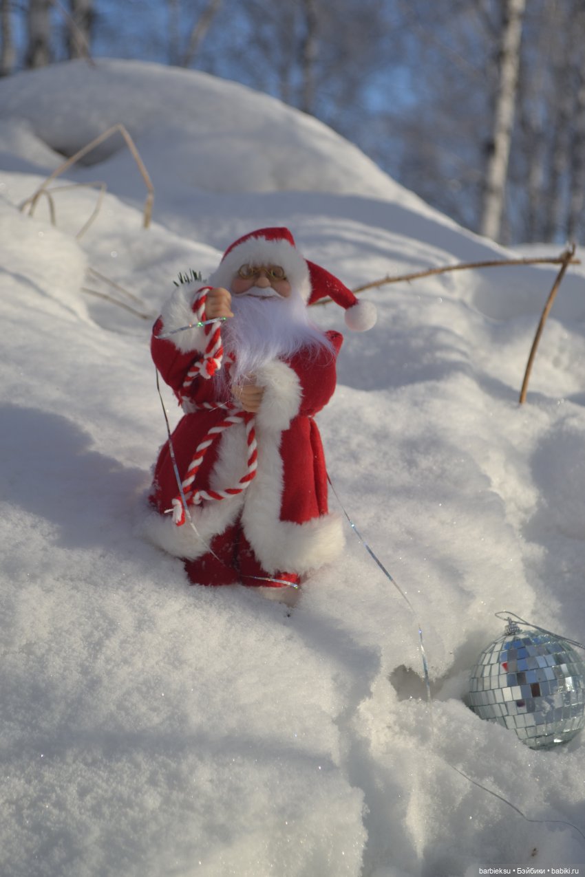 Зимний лес и его обитатели!❄️