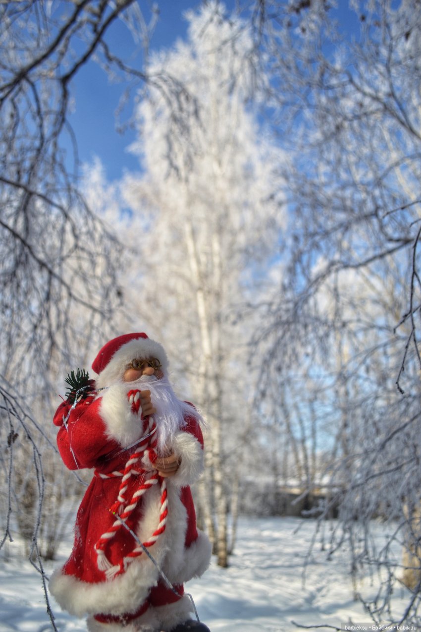 Зимний лес и его обитатели!❄️